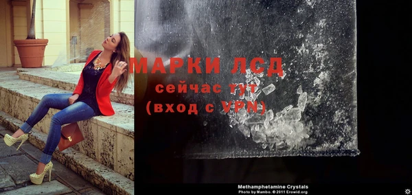 индика Новокубанск