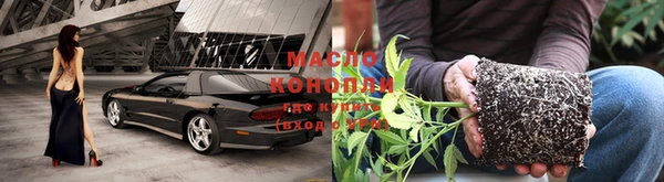 метадон Ельня