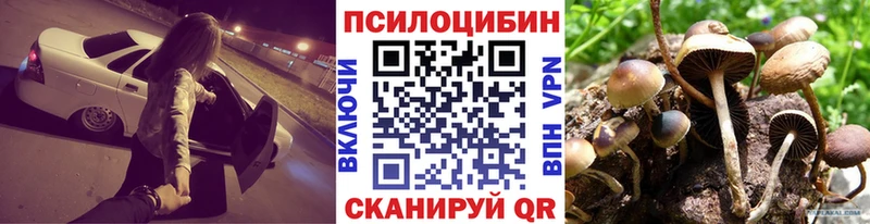 дарнет шоп  Перевоз  Псилоцибиновые грибы мицелий 